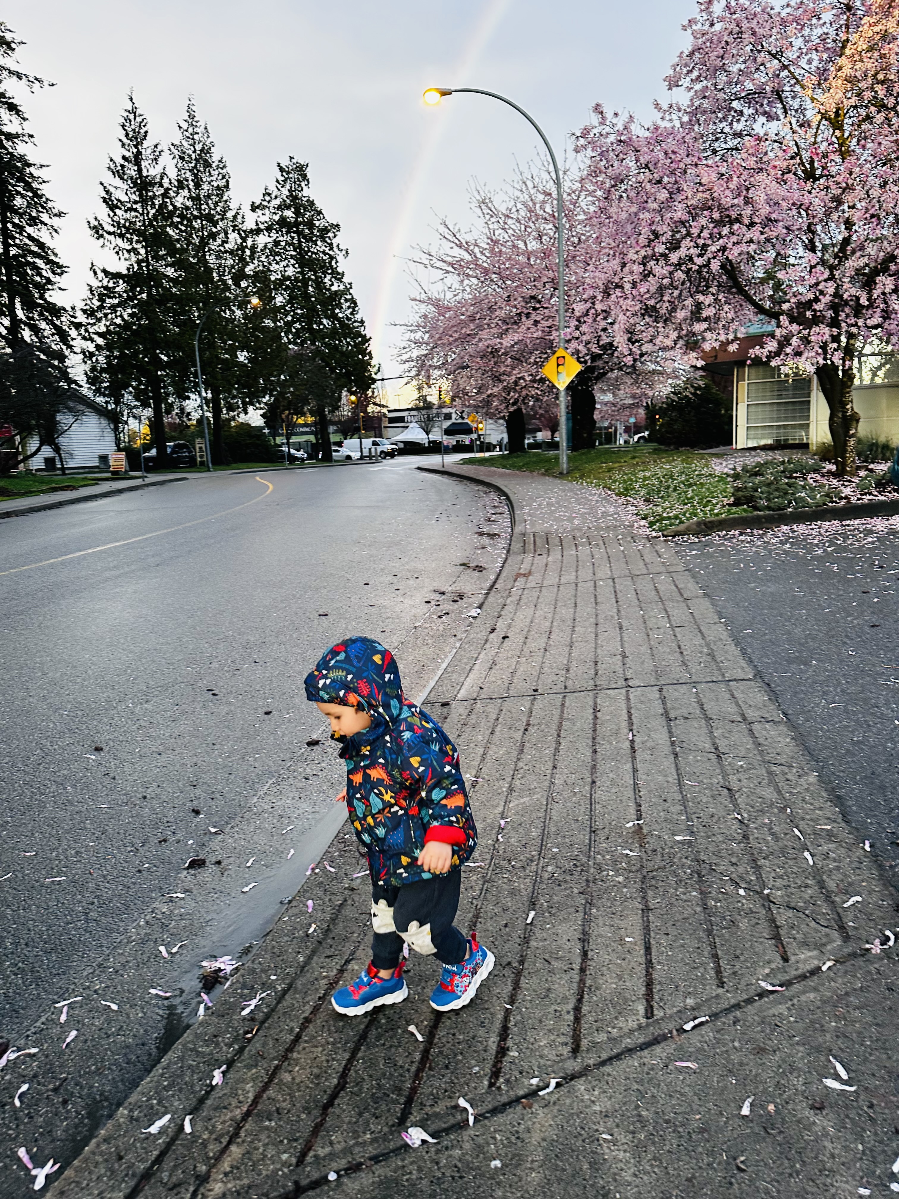 Image for How to Break Your Kids’ Screen Addiction: A Mom’s Real-Life Playbook - Blog Post